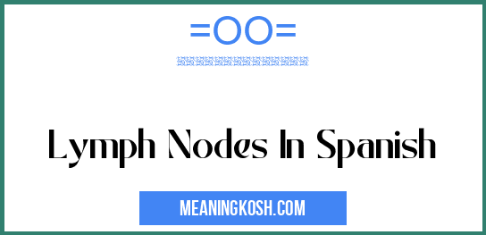 Lymph Nodes In Spanish MeaningKosh
