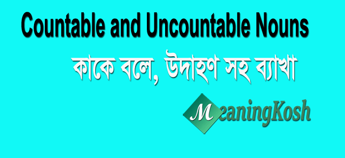 Countable and Uncountable Nouns | Definition & Examples